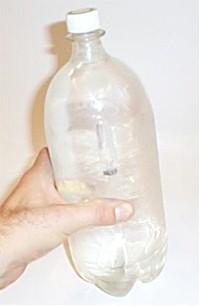 Two liter bottle