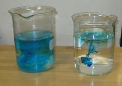Two beakers of water with blue food coloring