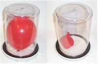 Balloon inside a glass jar
