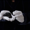 A sample of the